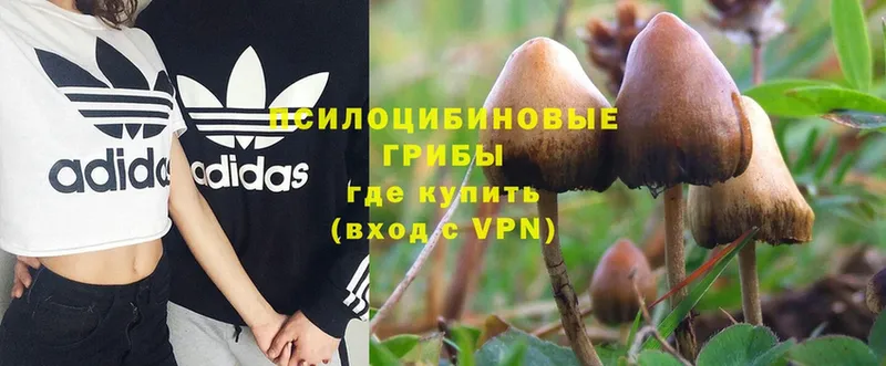 Галлюциногенные грибы Magic Shrooms  Алагир 